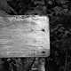 Pripyat | Chernobyl fot. Robert Kudera