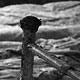 Pripyat | Chernobyl fot. Robert Kudera