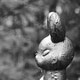 Pripyat | Chernobyl fot. Robert Kudera
