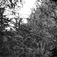 Pripyat | Chernobyl fot. Robert Kudera