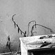 Pripyat | Chernobyl fot. Robert Kudera