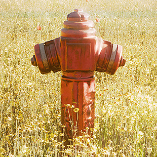 the Hydrant autor: Robert Kudera